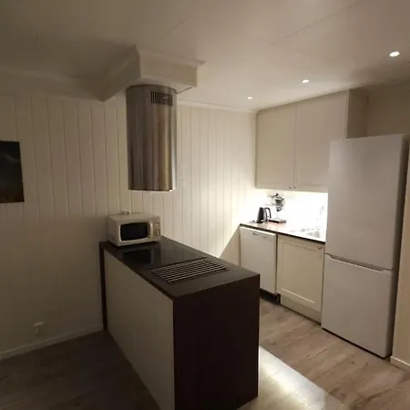 Med Vakker Utsikt I Vesteralen - Lofoten Apartment