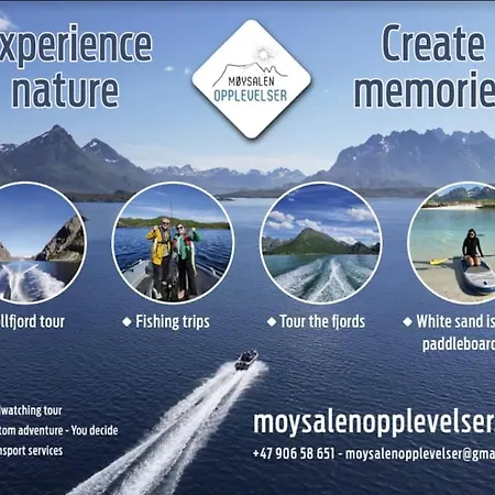 Apartment Med Vakker Utsikt I Vesteralen - Lofoten *