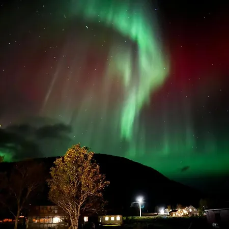 Hennesstrand Brygge - Din Base For Vesteralen Og Lofoten アパート Hennes